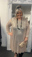 Sequin Sparkle Dress